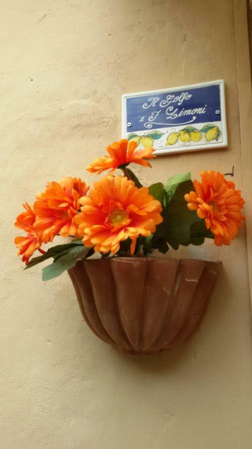 Il Golfo E I Limoni Apartment La Spezia Ngoại thất bức ảnh